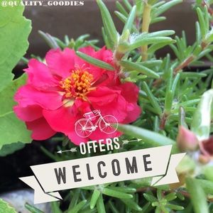 Offers Welcome